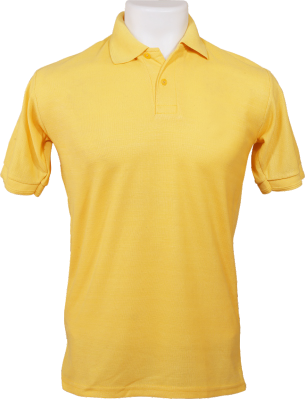 Polo T-shirt